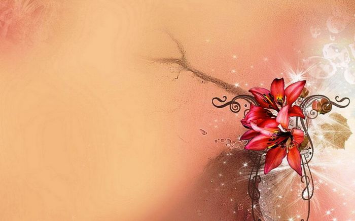 ׿ֽͼƬ 佺Ψ׿ֻֽ