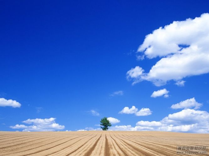 ֽ2013ٷ_ŷűֽ2013TVCƬҷ