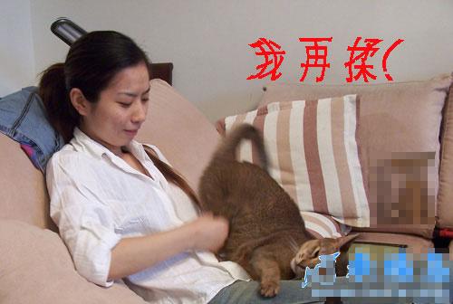 ϷŮ_¸ҵ 2014 ŮϢ ŮΪѡּѹ 141130 ¸ҵ