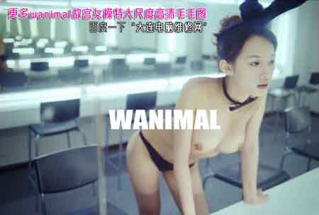 wanimal [糵]ɺ嶼Ρͬ˱ΡԴ