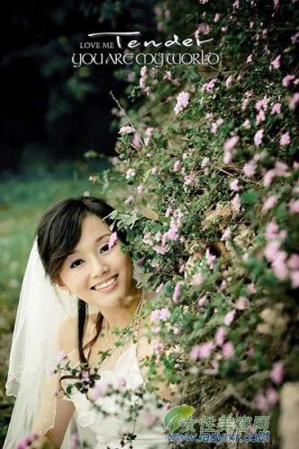 찲ҹ_2011ع ɱܴ 찲Σ߃