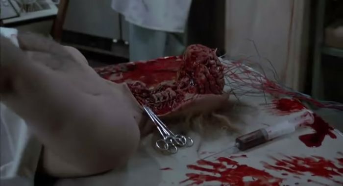 ɥʬ ɥʬãýɥʬѧУż١