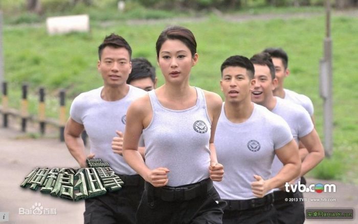 tvbӾ2013 ²۵100TVBӾ̨ʣֱԶԲ