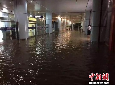 㽭ڻ ͻϮ㽭»ͺһȱȡ