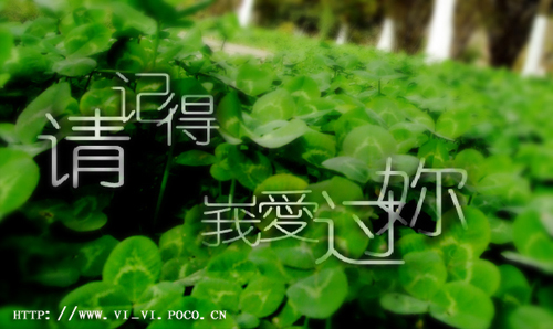 love is over ܽ׺ love is over