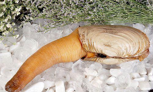 ΰй ҹΰй ýйΪ׳