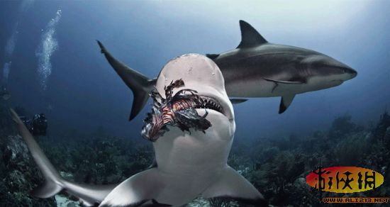 Ǽ ֳӱͷ­ȡ8׼棬4ʳСǧ