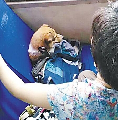 ߷ ռλ حΪʲô˵˲繷