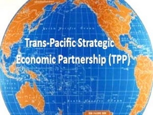 tpp̸нչ ר̳TPP̸ζʲô