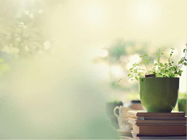 õƬ ?죺520羭汾PPT