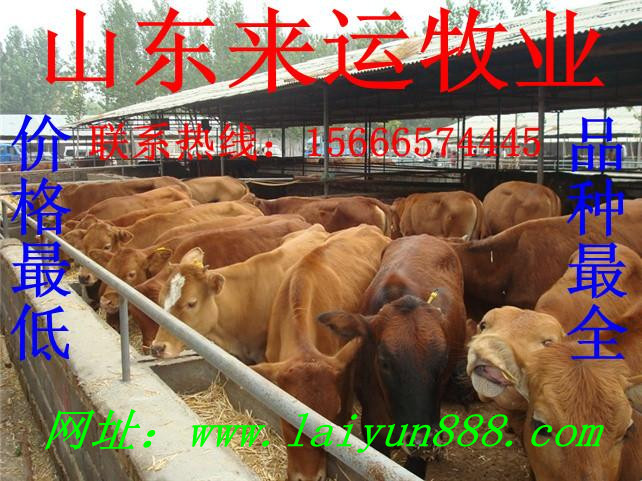 ̶  3A ȫĺϸξ Ҳûطȥ