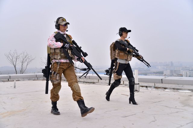 Ƶ ֱ ͳ:˷˰ԺֱȨ϶