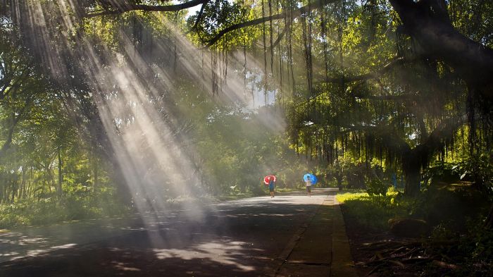 տι һһ· տҵչ»